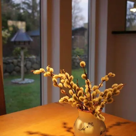 Ferienhaus 1606-liseleje-lisevaenget-18 Liseleje