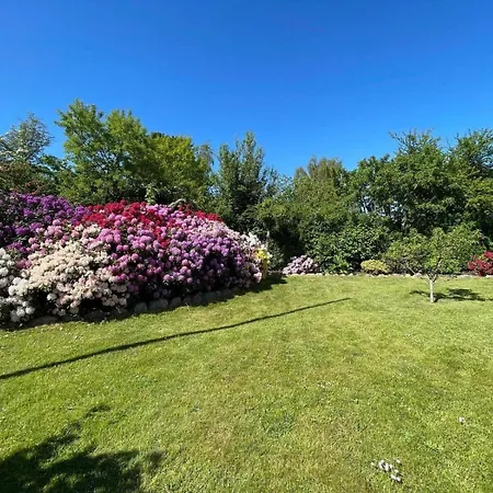 1606-liseleje-lisevaenget-18 *