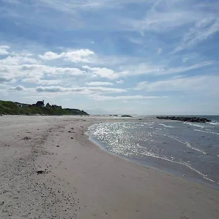 Ferienhaus 1606-liseleje-lisevaenget-18 *